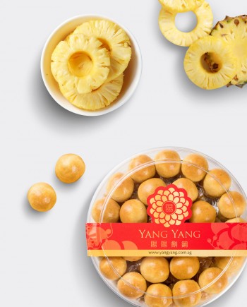 PineappleTart_1000x1244